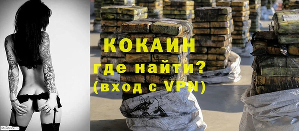сатива Магадан