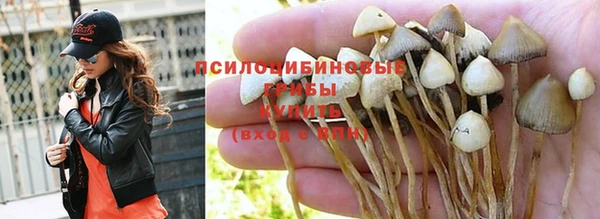 бошки Мегион