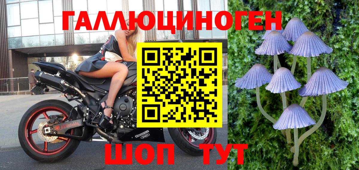 Урай  Псилоцибиновые грибы GOLDEN TEACHER  Вход с VPN  Галлюциногенные грибы Cubensis 